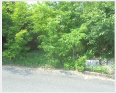  2025Ÿ��30531 ��� ������ ����� ���ø� 460-28      ����(�Ӿ�)���