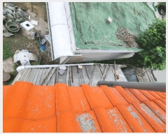  2025Ÿ��30536 ��� ���ֽ� ������ ������ 1582-4      ���ð��