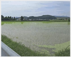  2025Ÿ��30555  �����