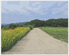  2025Ÿ��30555  ����