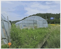  2025Ÿ��30555  ����