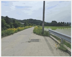  2025Ÿ��30555  ����