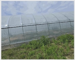  2025Ÿ��30555  ����