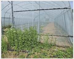  2025Ÿ��30555  ����