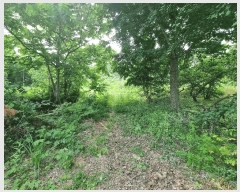  2025Ÿ��30590  �����