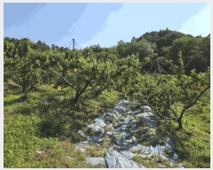  2025Ÿ��30601  ����