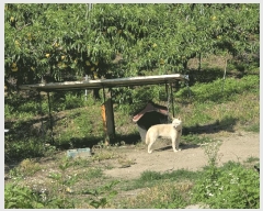  2025Ÿ��30601  ����