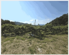  2025Ÿ��30601  ����