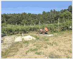  2025Ÿ��30601  ����