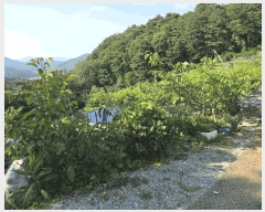  2025Ÿ��30601  ����