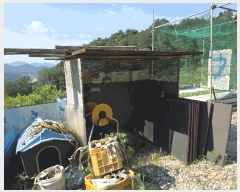  2025Ÿ��30601  ����