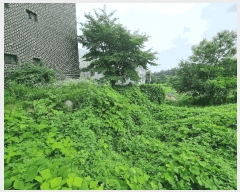  2025Ÿ��30619 ��� ������ �ݿ��� ���۸� 70-88      ����(�Ӿ�)���