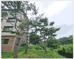  2025Ÿ��30619 ��� ������ �ݿ��� ���۸� 70-88      ����(�Ӿ�)���