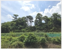  2025Ÿ��30632  �Ӿ߰��