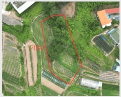  2025Ÿ��30632  �Ӿ߰��