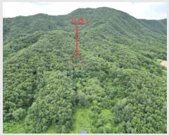  2025Ÿ��30632  �Ӿ߰��