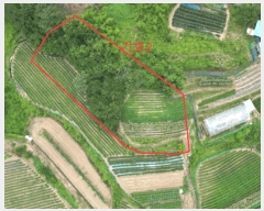  2025Ÿ��30632  �Ӿ߰��