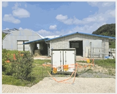  2025Ÿ��30649 ��� ���ֽ� �ݰ��� ������ 458      ��ü����