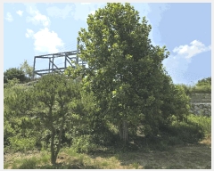  2025Ÿ��30649 ��� ���ֽ� �ݰ��� ������ 458      ��ü����