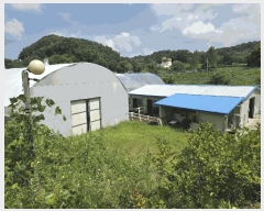  2025Ÿ��30649 ��� ���ֽ� �ݰ��� ������ 458      ��ü����