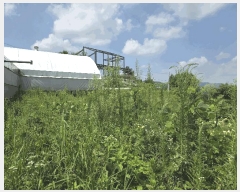  2025Ÿ��30649 ��� ���ֽ� �ݰ��� ������ 458      ��ü����