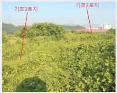  2025Ÿ��30655  �����