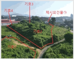  2025Ÿ��30655  �����