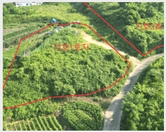  2025Ÿ��30655  �����