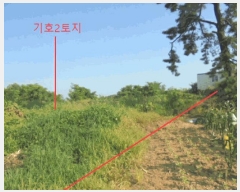  2025Ÿ��30655  �����