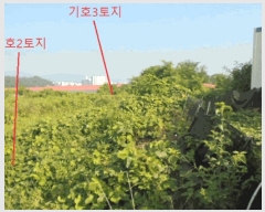  2025Ÿ��30655  �����