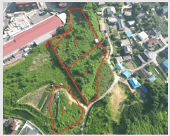  2025Ÿ��30655  �����