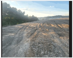  2025Ÿ��30661  �Ӿ߰��