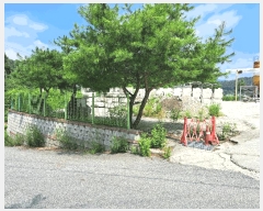  2025Ÿ��30671 ��� ���ֽ� ������ ���ɸ� 485-1      ������