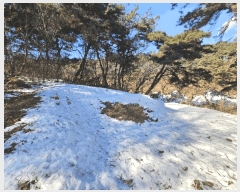  2025Ÿ36  õ  36-25       (Ӿ)