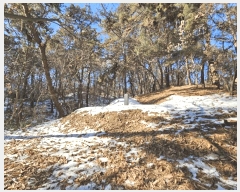  2025Ÿ36  õ  36-25       (Ӿ)