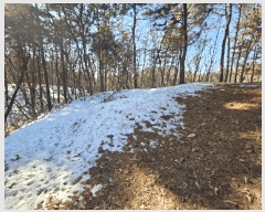  2025Ÿ36  õ  36-25       (Ӿ)