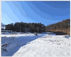  2025Ÿ36  õ  36-25       (Ӿ)