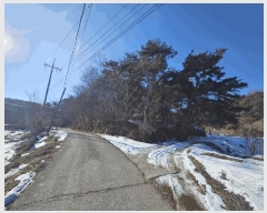  2025Ÿ36  õ  36-25       (Ӿ)