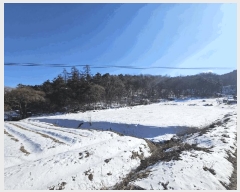  2025Ÿ36  õ  36-25       (Ӿ)