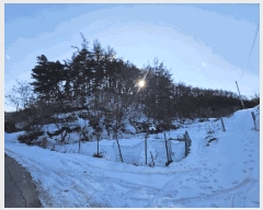  2025Ÿ36  õ  36-25       (Ӿ)