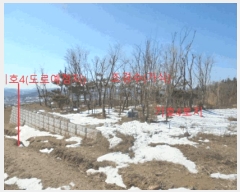  2025Ÿ��75 ��� ��õ�� ������ �̴縮 ��66-1      ����(�Ӿ�)���