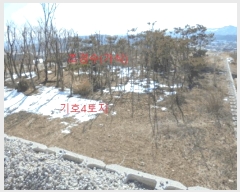  2025Ÿ��75 ��� ��õ�� ������ �̴縮 ��66-1      ����(�Ӿ�)���