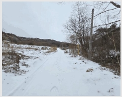  2025Ÿ81  õ  ַø 437-27      ()