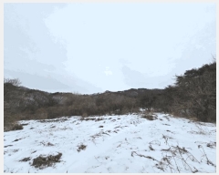  2025Ÿ81  õ  ַø 437-27      ()