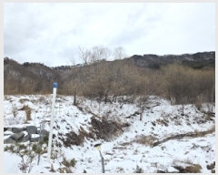  2025Ÿ81  õ  ַø 437-27      ()