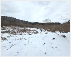  2025Ÿ81  õ  ַø 437-27      ()