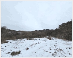  2025Ÿ81  õ  ַø 437-27      ()