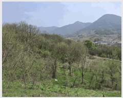  2025Ÿ��85  �����