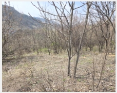  2025Ÿ��85  �����