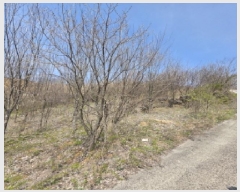  2025Ÿ��85  �����